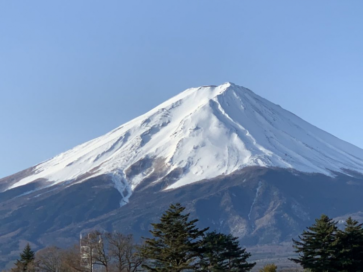 S__9928721