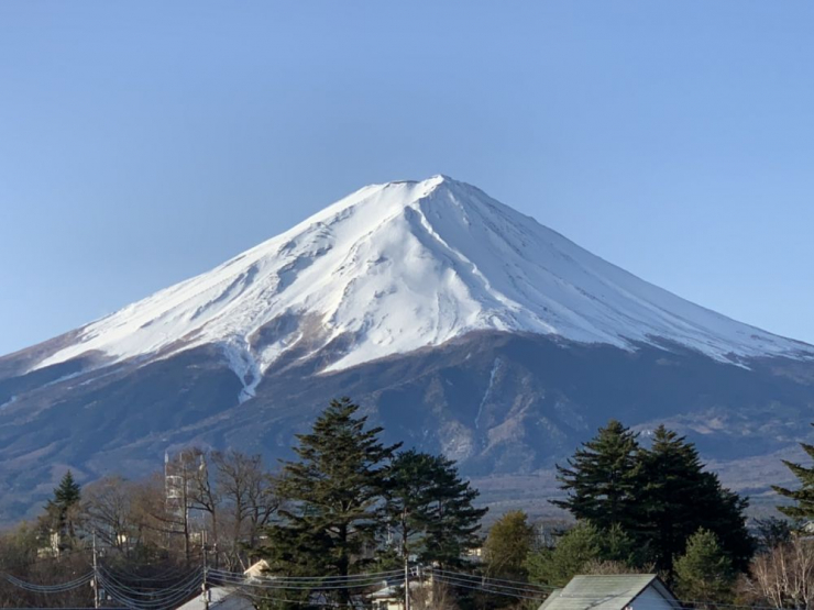 S__9928723