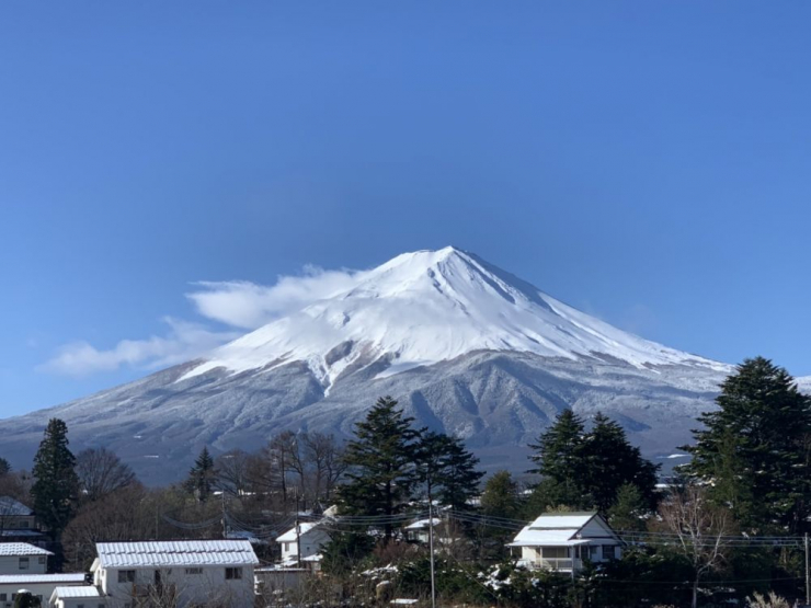 S__10223660