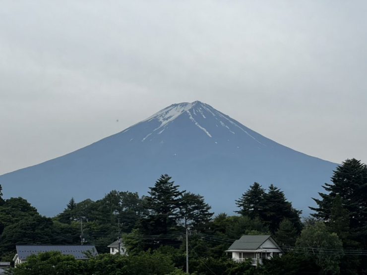 S__10731524
