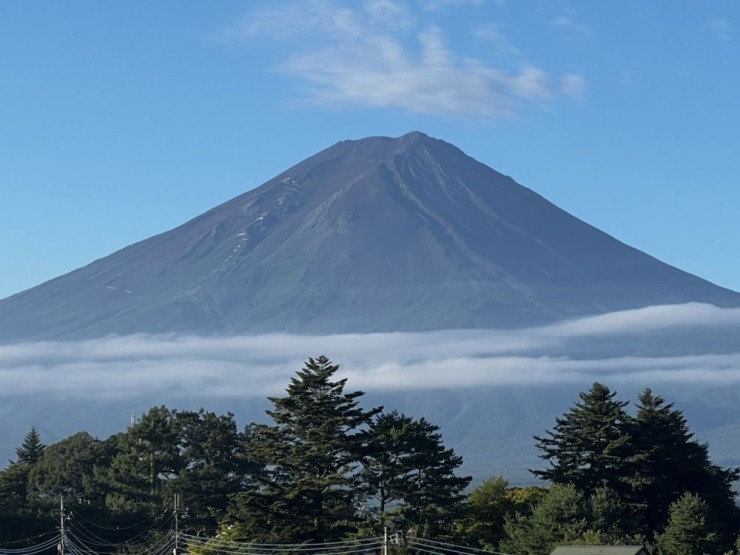 夏が終わった頃に蚊の襲撃 - 富士山の見える温泉旅館 大池ホテル